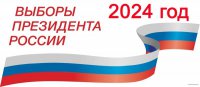 На выборах президента в Свердловской области будет работать электронное голосование.